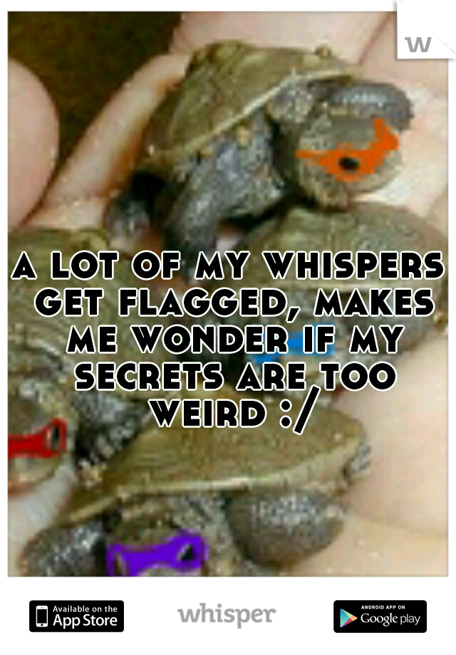 a lot of my whispers get flagged, makes me wonder if my secrets are too weird :/
