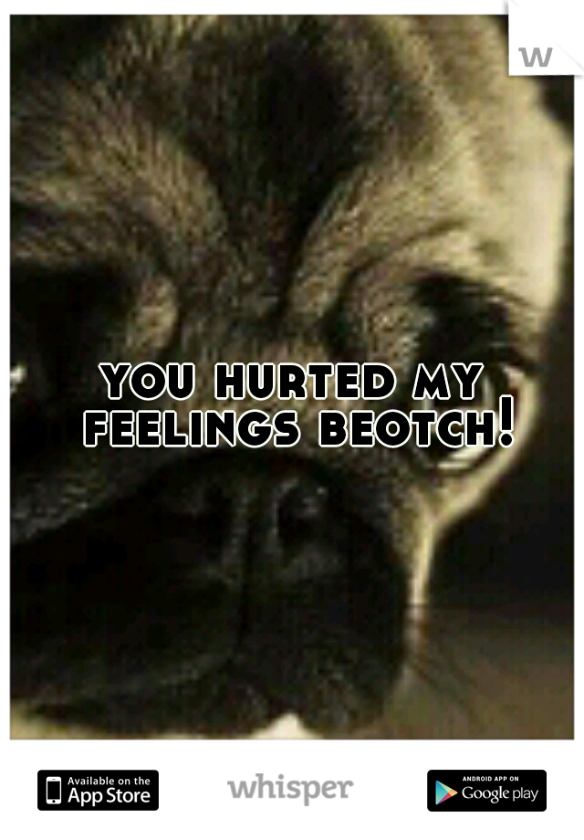 you hurted my feelings beotch!