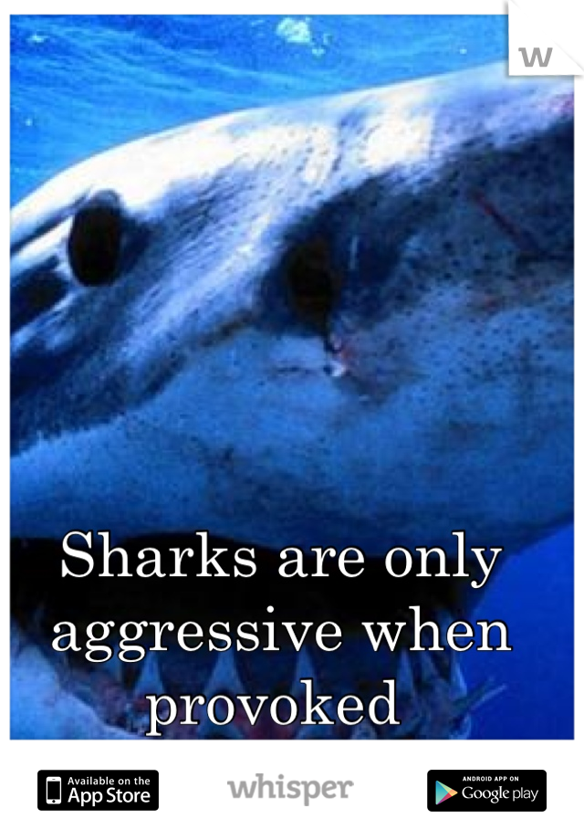 Sharks are only aggressive when provoked 
