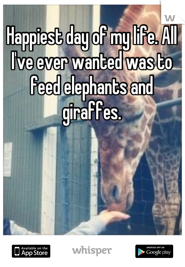 Happiest day of my life. All I've ever wanted was to feed elephants and giraffes.