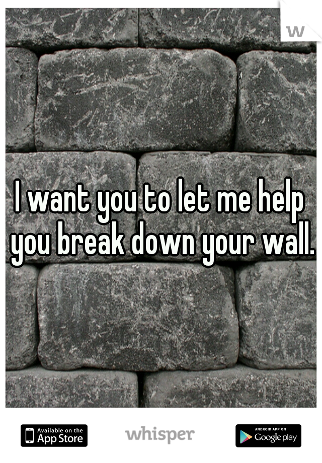 I want you to let me help you break down your wall.