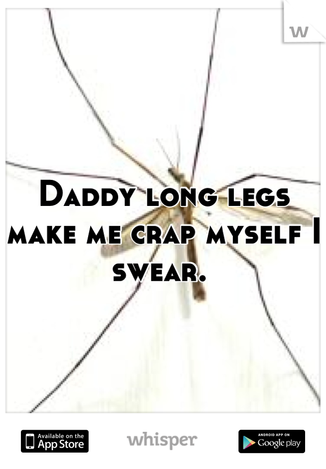 Daddy long legs make me crap myself I swear. 