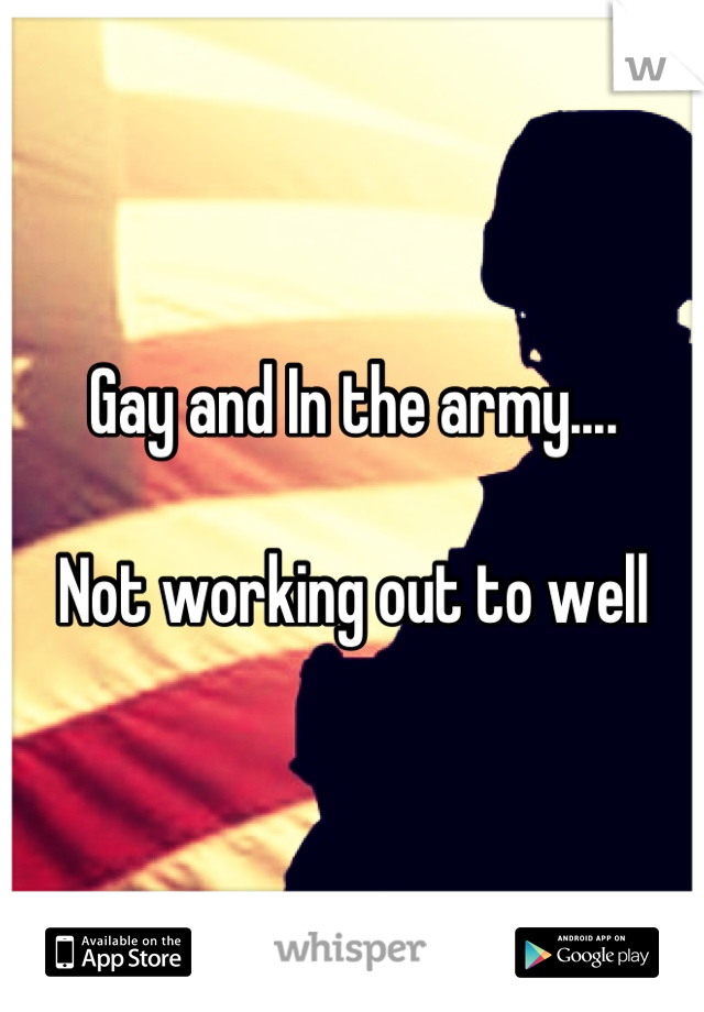 Gay and In the army....

Not working out to well