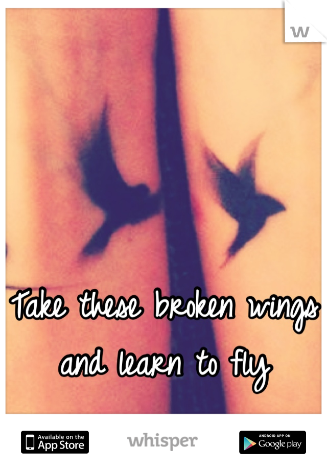 Take these broken wings and learn to fly