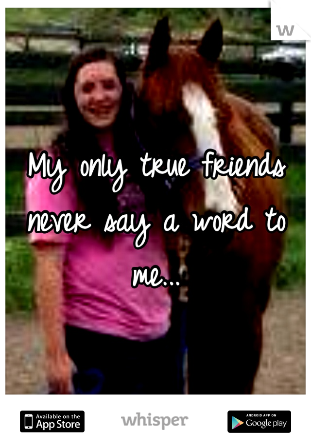 My only true friends never say a word to me...
