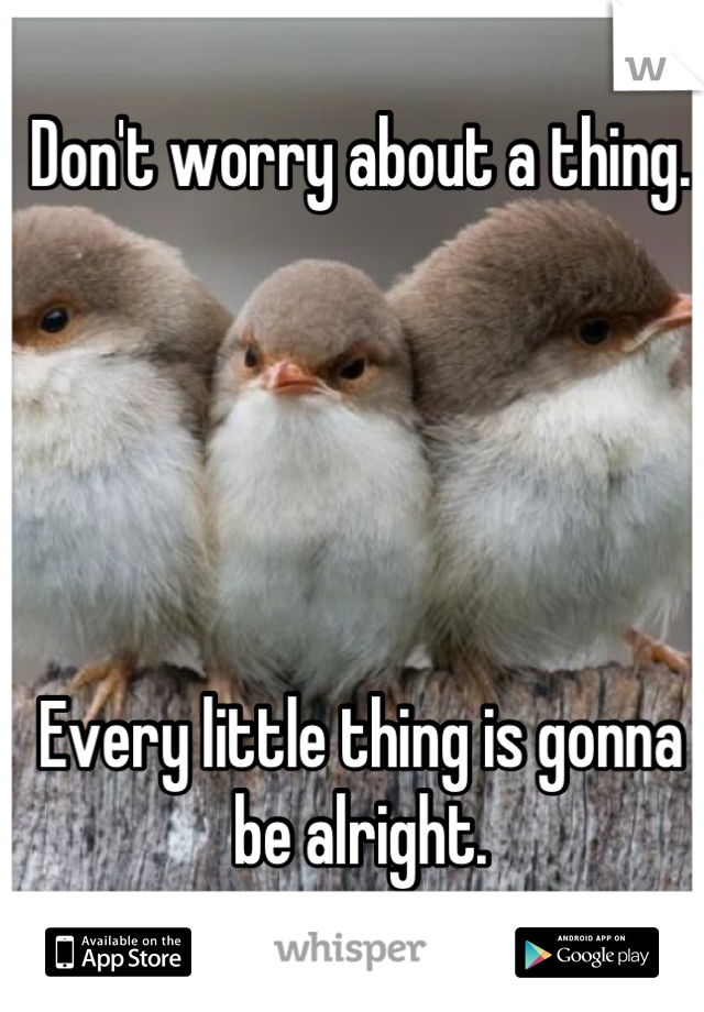 Don't worry about a thing.





Every little thing is gonna be alright.