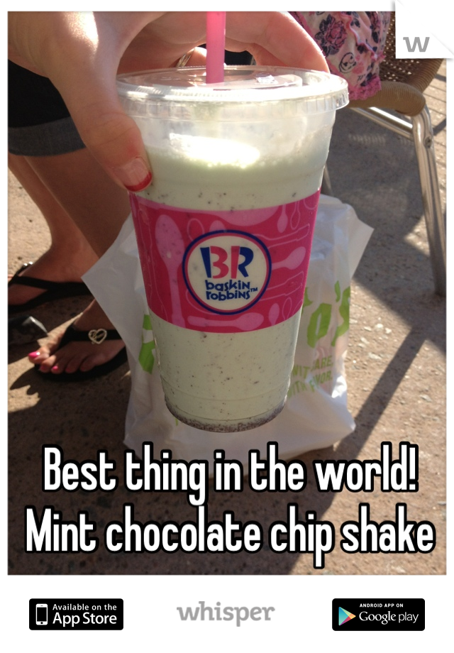 Best thing in the world! Mint chocolate chip shake