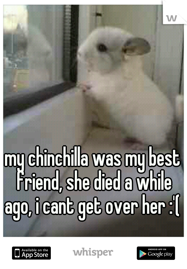 my chinchilla was my best friend, she died a while ago, i cant get over her :'( 