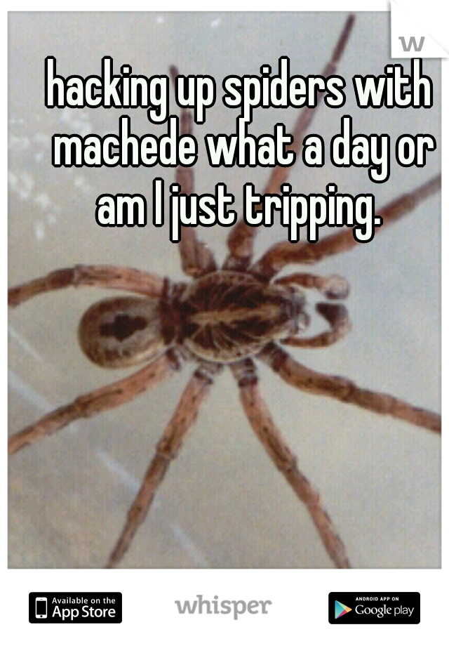 hacking up spiders with machede what a day or am I just tripping. 