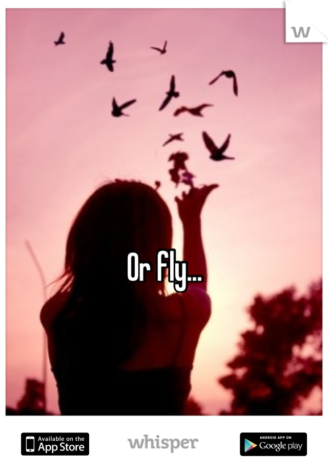 Or fly...