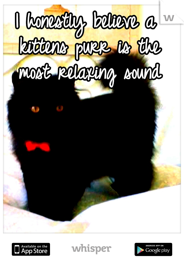 I honestly believe a kittens purr is the most relaxing sound