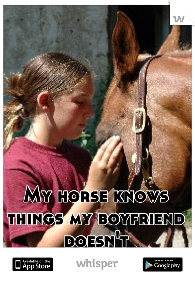 My horse knows things my boyfriend doesn't