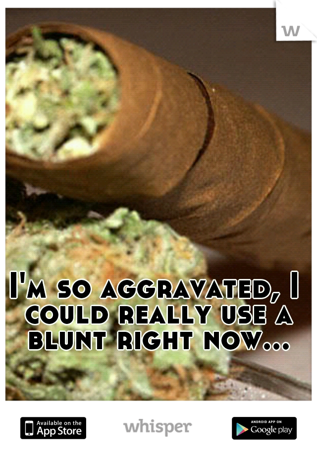 I'm so aggravated, I could really use a blunt right now...