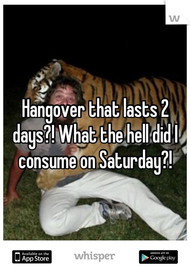 Hangover that lasts 2 days?! What the hell did I consume on Saturday?!
