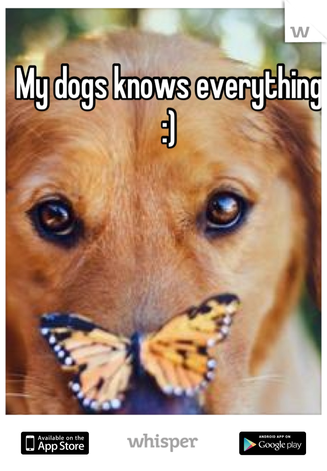My dogs knows everything :)