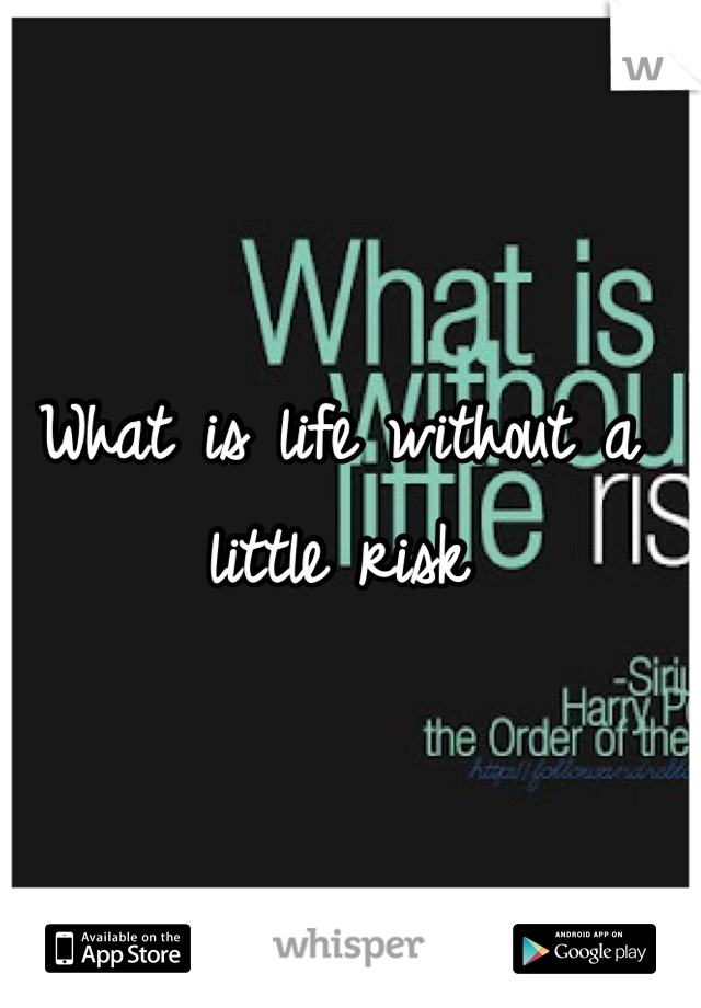 What is life without a little risk