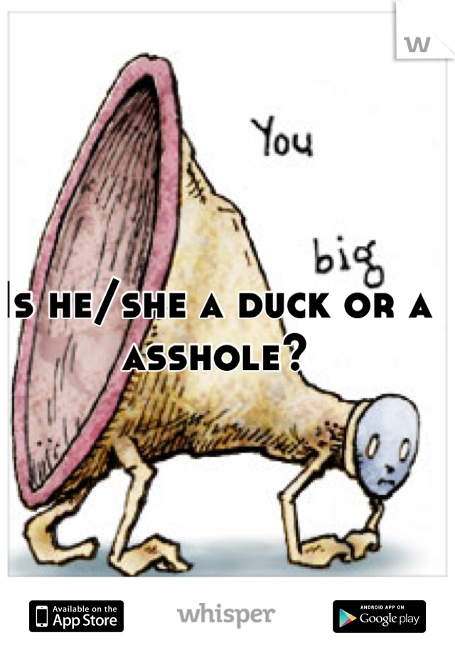 Is he/she a duck or a asshole? 



