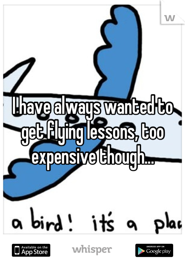 I have always wanted to get flying lessons, too expensive though...