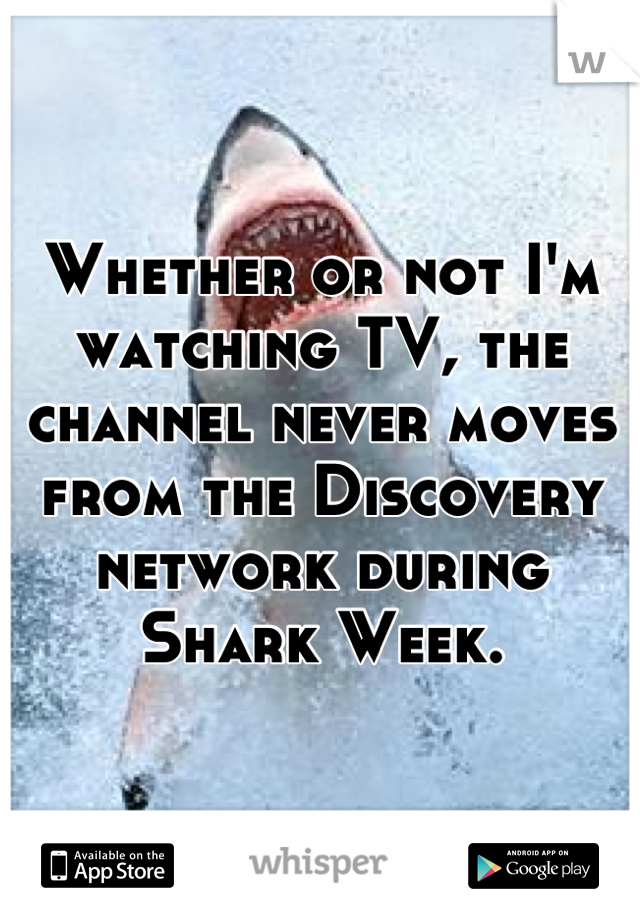 Whether or not I'm watching TV, the channel never moves from the Discovery network during Shark Week.
