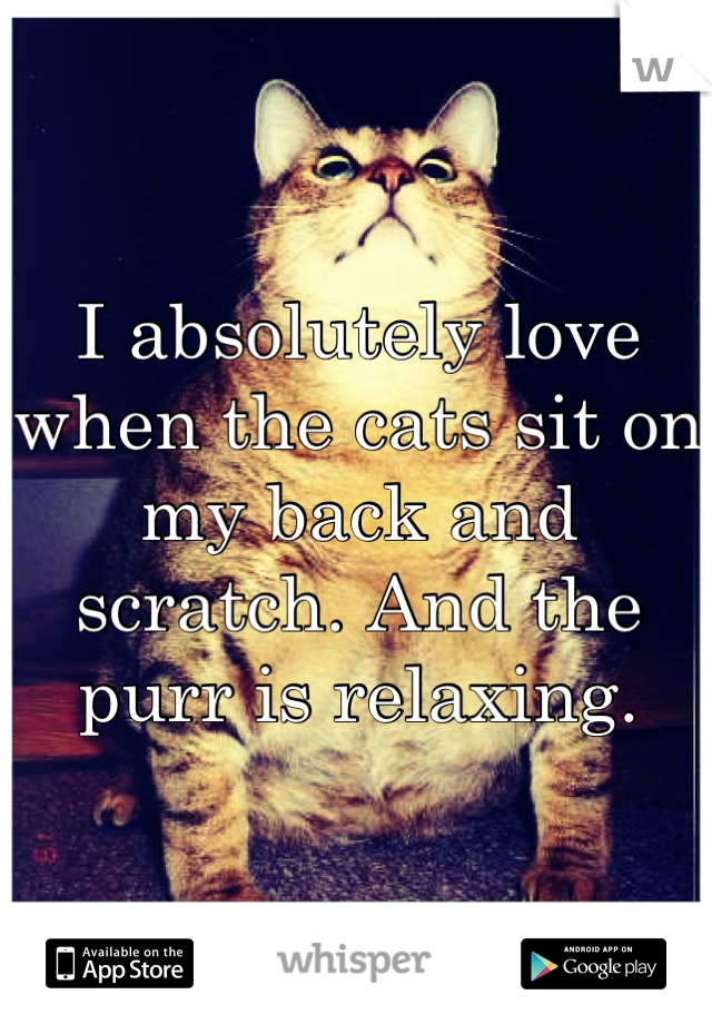 I absolutely love when the cats sit on my back and scratch. And the purr is relaxing.