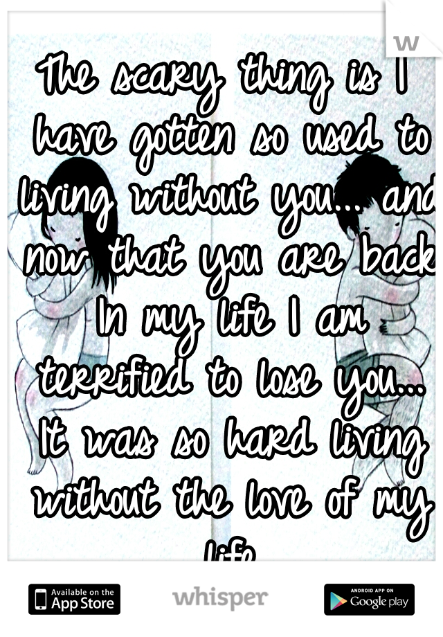 The scary thing is I have gotten so used to living without you... and now that you are back In my life I am terrified to lose you... It was so hard living without the love of my life