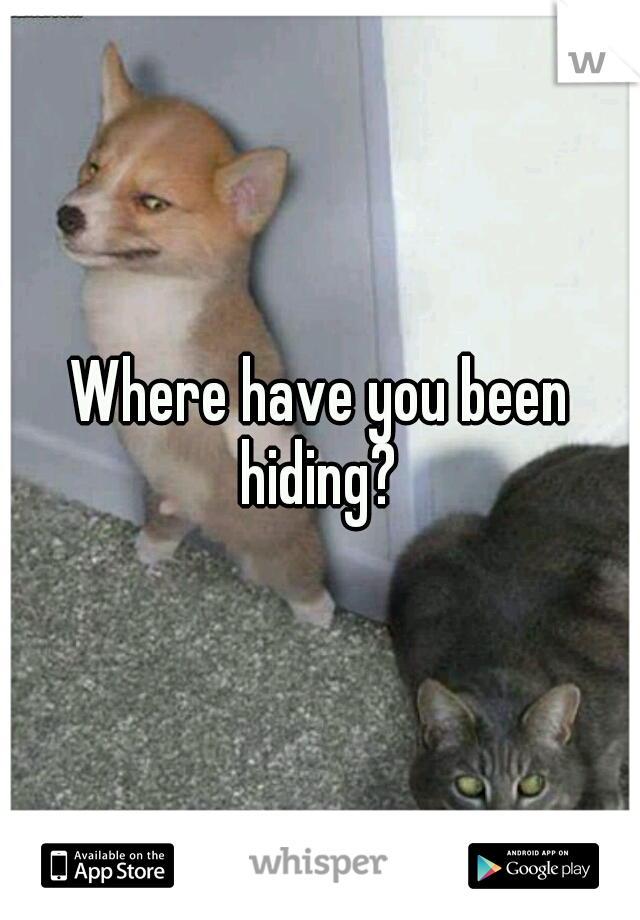 Where have you been hiding? 