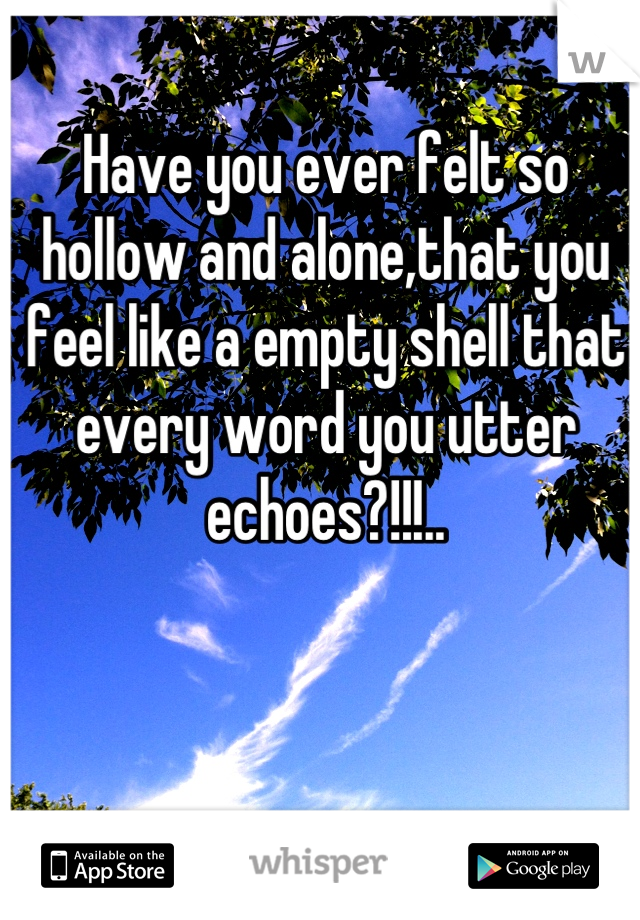 Have you ever felt so hollow and alone,that you feel like a empty shell that every word you utter echoes?!!!..