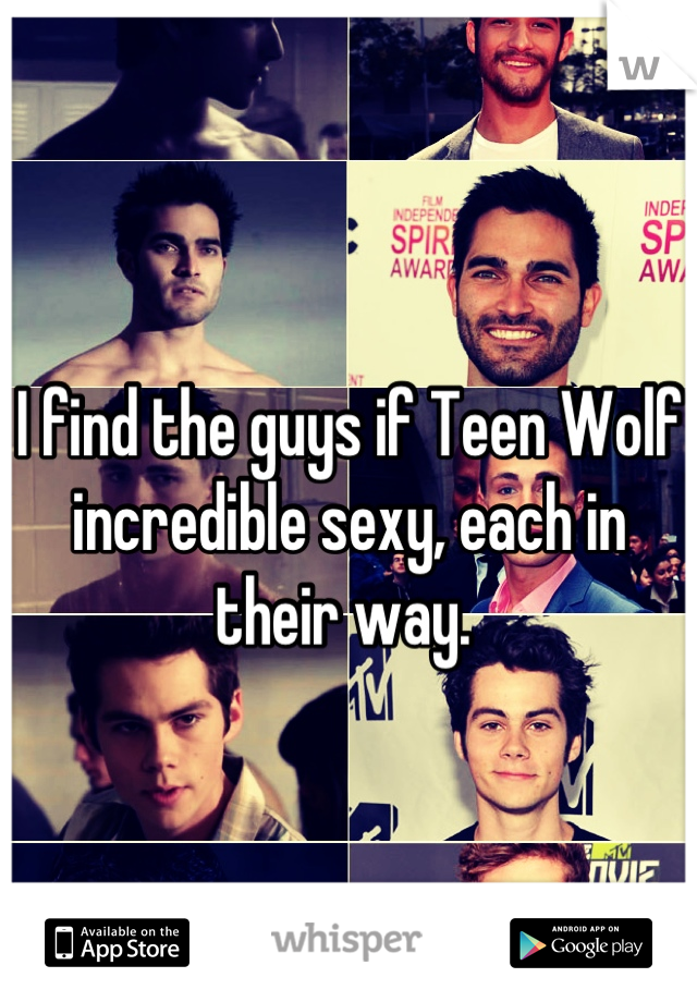 I find the guys if Teen Wolf incredible sexy, each in their way. 