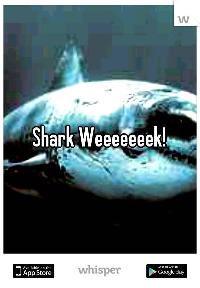 Shark Weeeeeeek!