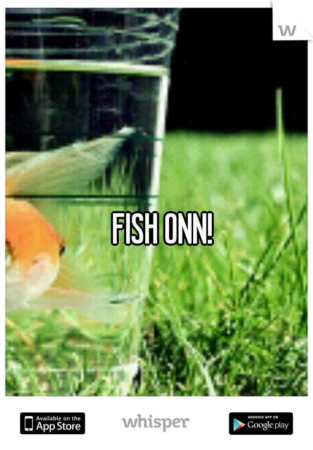 FISH ONN! 