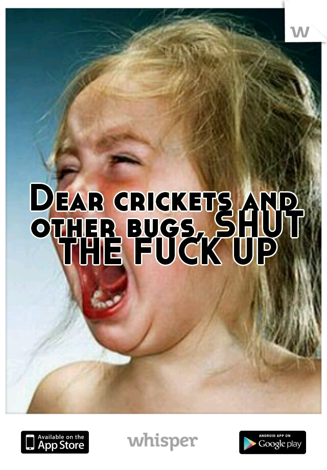 Dear crickets and other bugs, SHUT THE FUCK UP