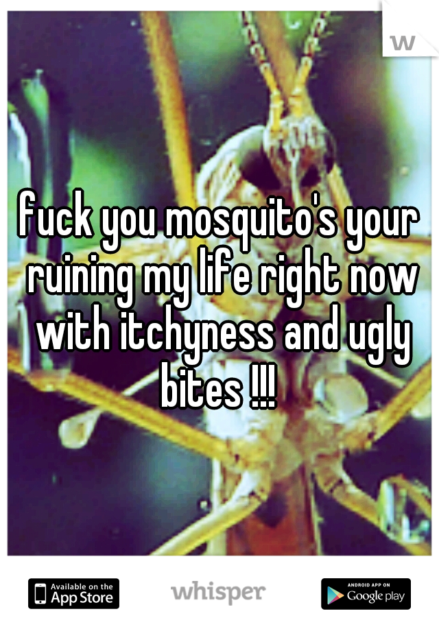 fuck you mosquito's your ruining my life right now with itchyness and ugly bites !!! 