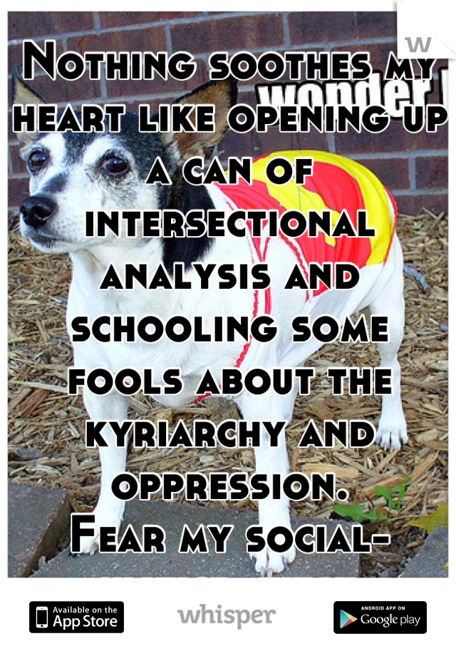 Nothing soothes my heart like opening up a can of intersectional analysis and schooling some fools about the kyriarchy and oppression. 
Fear my social-justice-jutsu.