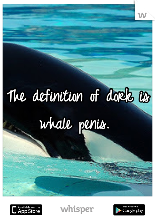 The definition of dork is whale penis. 