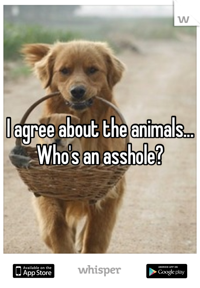 I agree about the animals... Who's an asshole?