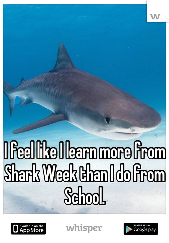 I feel like I learn more from Shark Week than I do from School.