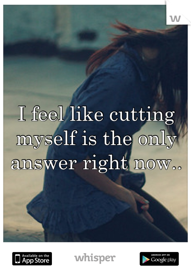 I feel like cutting myself is the only answer right now..