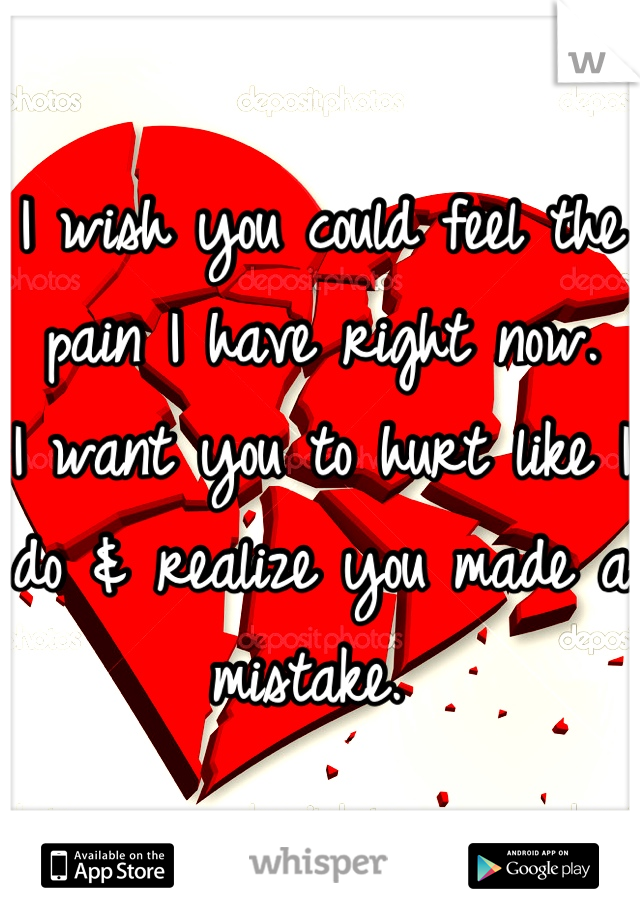 I wish you could feel the pain I have right now. 
I want you to hurt like I do & realize you made a mistake. 