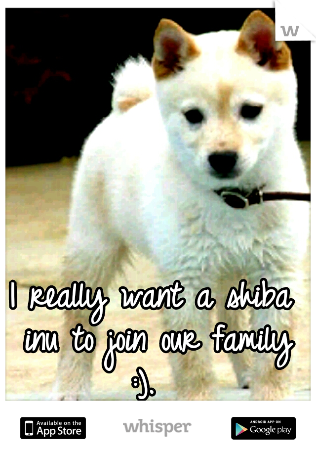 I really want a shiba inu to join our family :).  