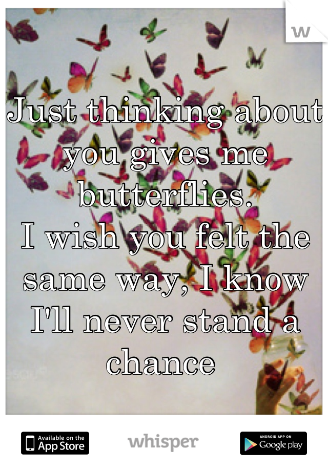 Just thinking about you gives me butterflies.
I wish you felt the same way, I know I'll never stand a chance 