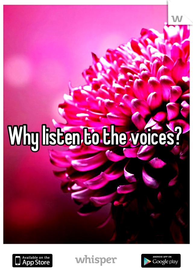 Why listen to the voices? 
