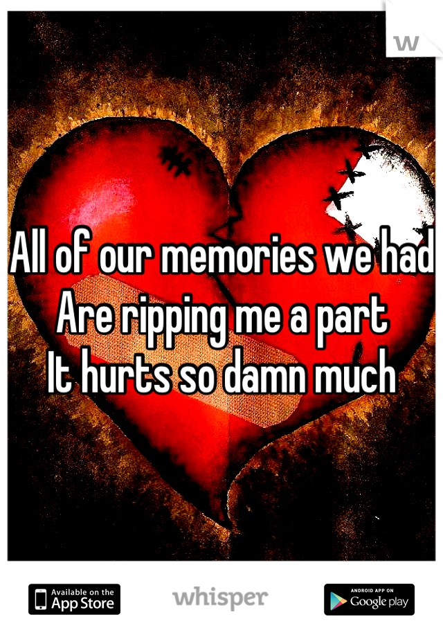 All of our memories we had 
Are ripping me a part
It hurts so damn much