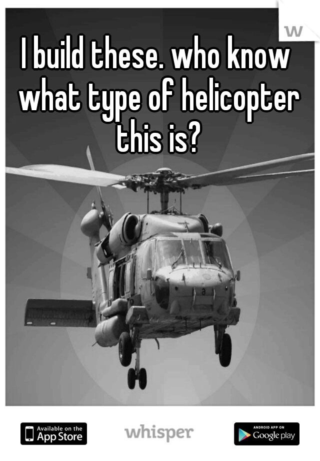 I build these. who know what type of helicopter this is?