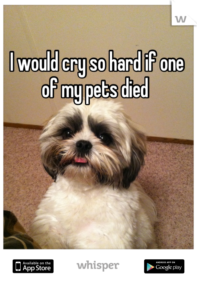 I would cry so hard if one of my pets died 