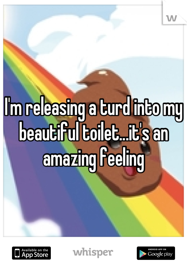 I'm releasing a turd into my beautiful toilet...it's an amazing feeling