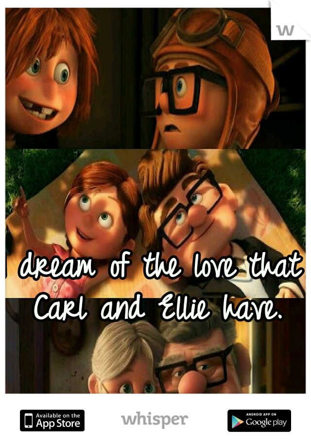 I dream of the love that Carl and Ellie have.