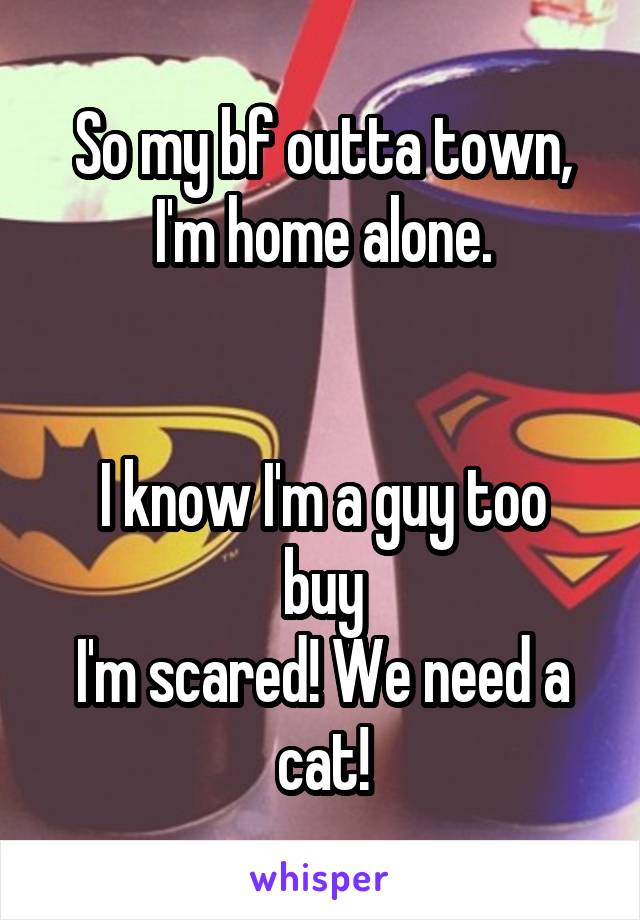 So my bf outta town,
I'm home alone.


I know I'm a guy too buy
I'm scared! We need a cat!