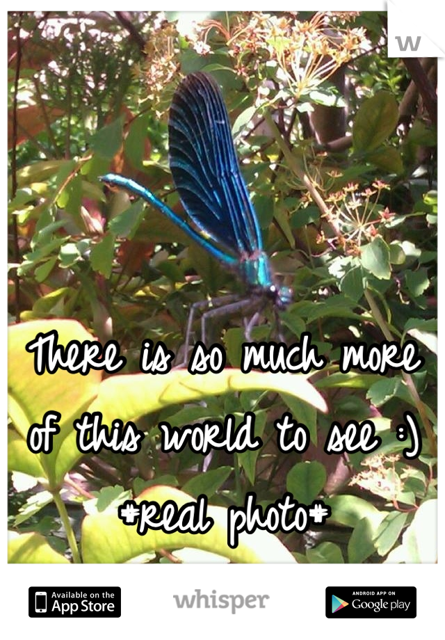 


There is so much more of this world to see :)
#real photo#