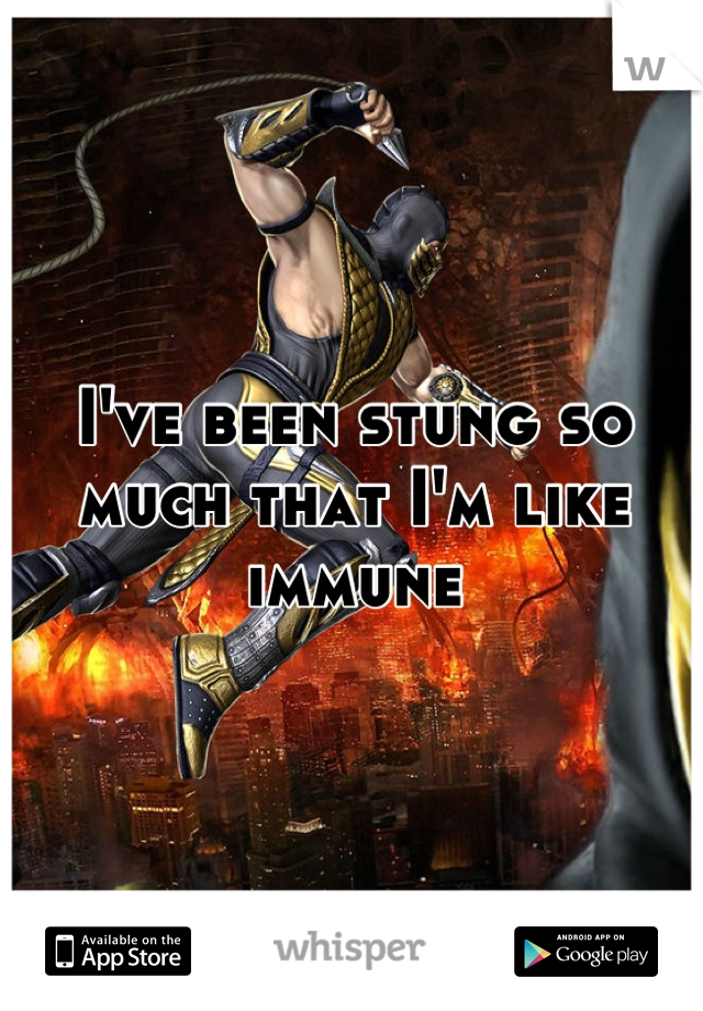 I've been stung so much that I'm like immune