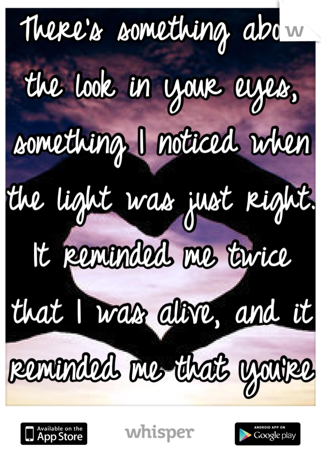 There's something about the look in your eyes, something I noticed when the light was just right. It reminded me twice that I was alive, and it reminded me that you're so worth the fight. 